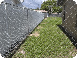 Chain Link b-modified