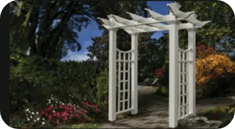 arbor 3