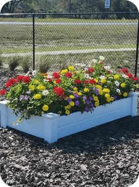 flower bed